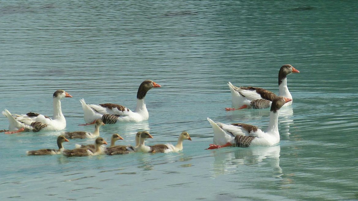Pamukkale Tours