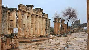 Frontinus Street