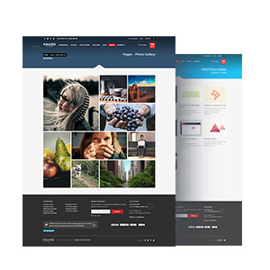 Çoklu portföy düzenleri