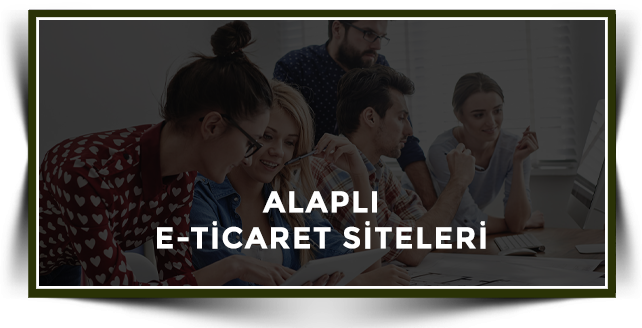 Alaplı Web Tasarım