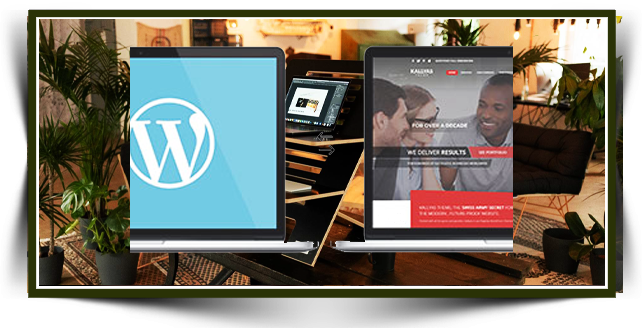 Alaşehir Web Tasarım Hizmetleri