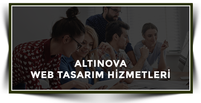 Altınova Web Tasarım