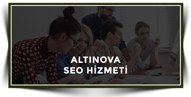 Altınova Web Tasarım
