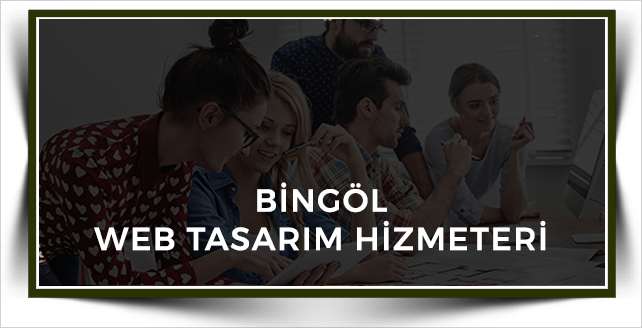 Bingöl Web Tasarım