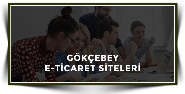Gökçebey Web Tasarım Hizmetleri