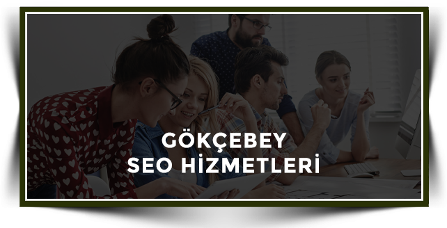 Gökçebey Web Tasarım Hizmetleri
