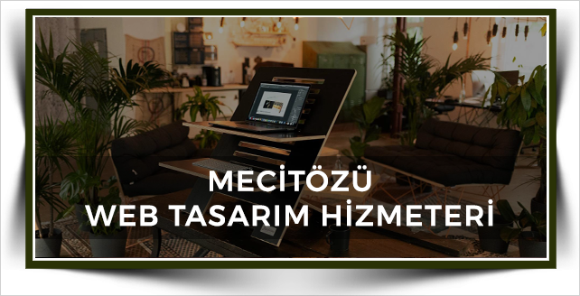 Mecitözü Web Tasarım