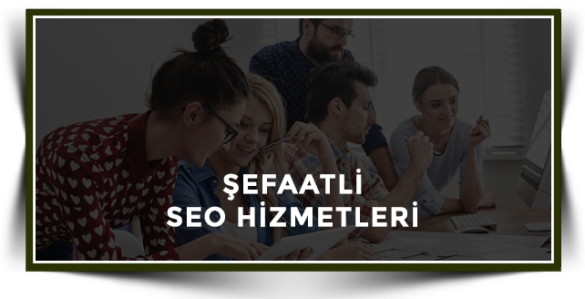 Şefaatli Web Tasarım