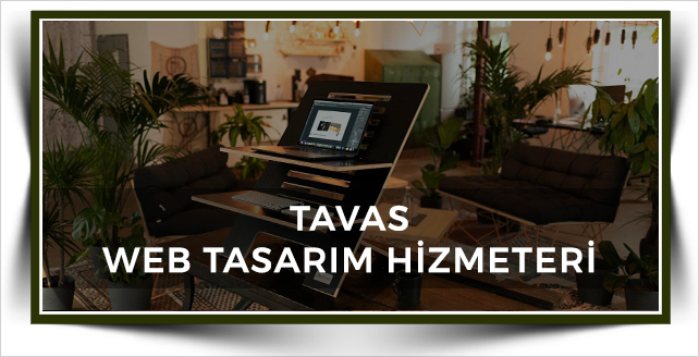Tavas Web Tasarım