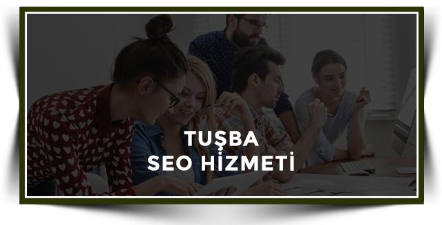 Tuşba Web Tasarım