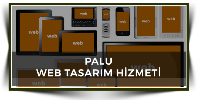 Palu Web Tasarım