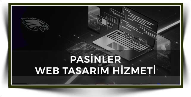 Pasinler Web Tasarım
