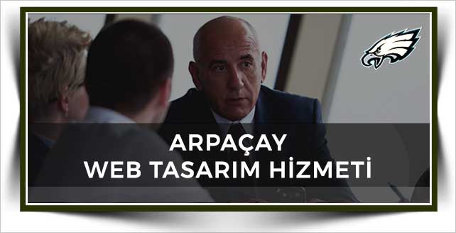 Arpaçay Web Tasarım