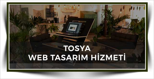 Tosya Web Tasarım