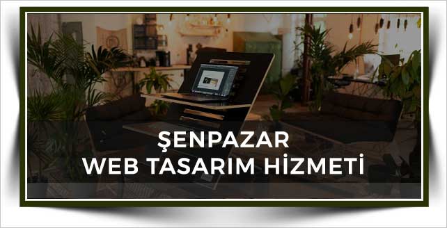 Şenpazar Web Tasarım