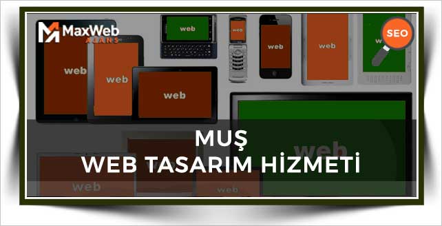 Muş Web Tasarım
