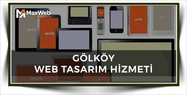 Gölköy Web Tasarım