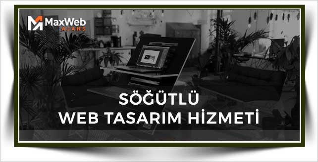 Söğütlü Web Tasarım