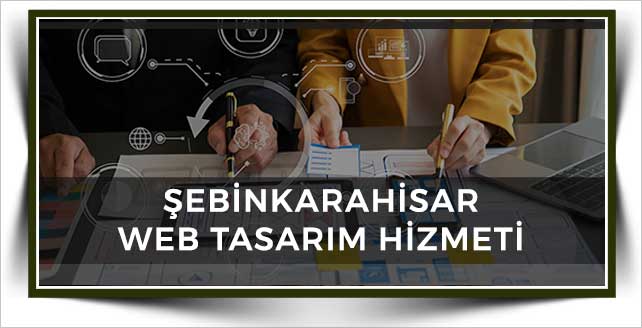 Şebinkarahisar Web Tasarım