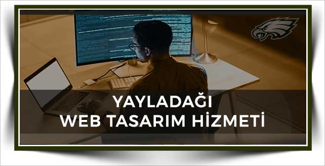 Yayladağı Web Tasarım